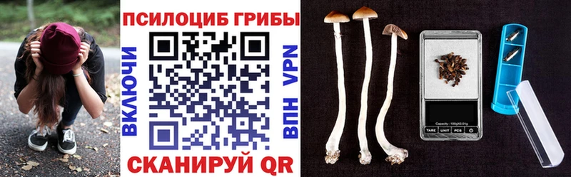 блэк спрут зеркало  закладка  Черногорск  Галлюциногенные грибы прущие грибы 