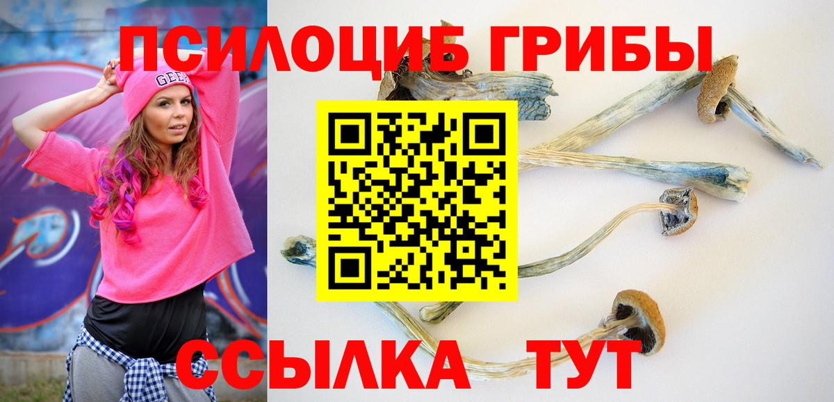 Псилоцибиновые грибы Psilocybe  Вход с VPN  Галлюциногенные грибы ЛСД  где купить наркоту  Черногорск 