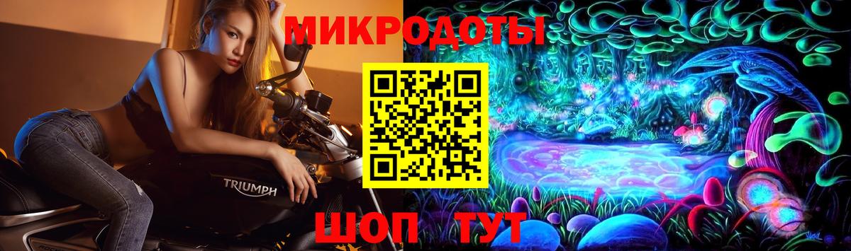 где найти   Черногорск  Псилоцибиновые грибы MAGIC MUSHROOMS 