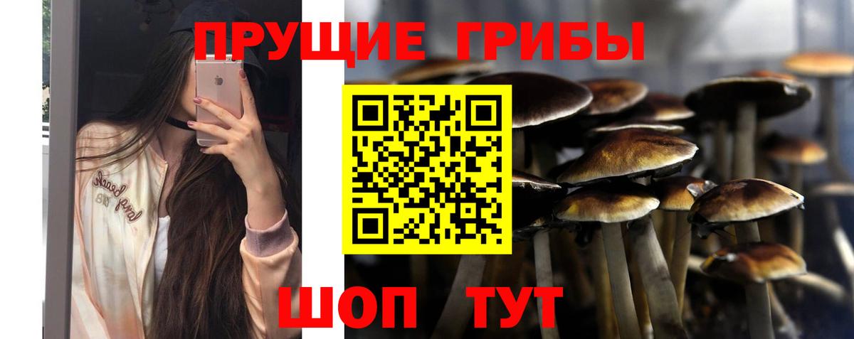 Галлюциногенные грибы прущие грибы  купить наркоту  Вход с VPN  Черногорск  Галлюциногенные грибы Cubensis 