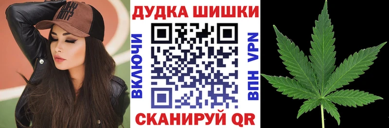 Бошки Шишки SATIVA & INDICA mega ССЫЛКА Черногорск сколько стоит
