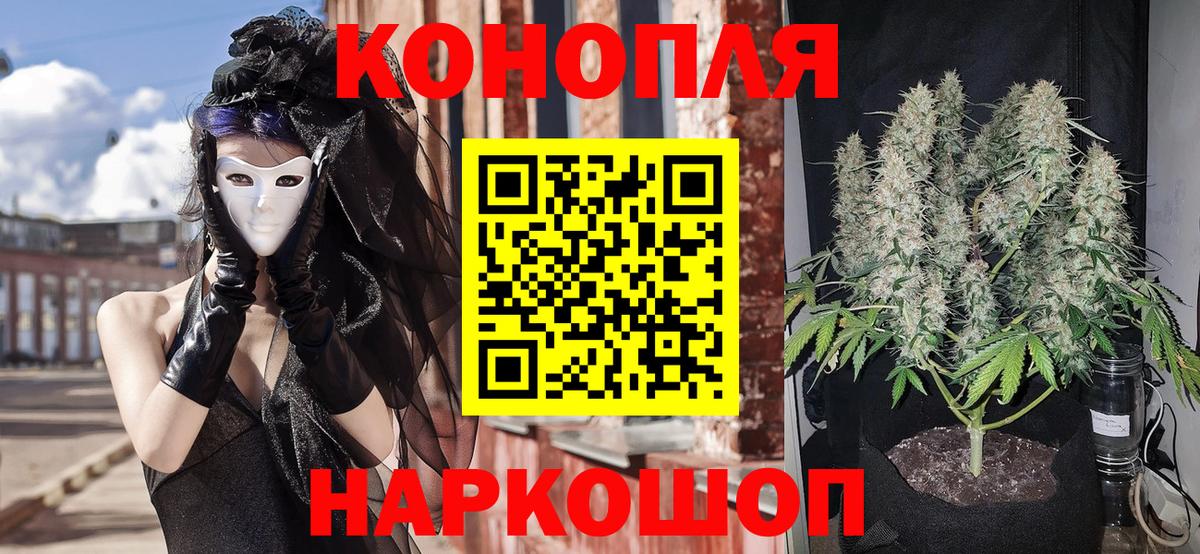 Бошки марихуана семена Черногорск